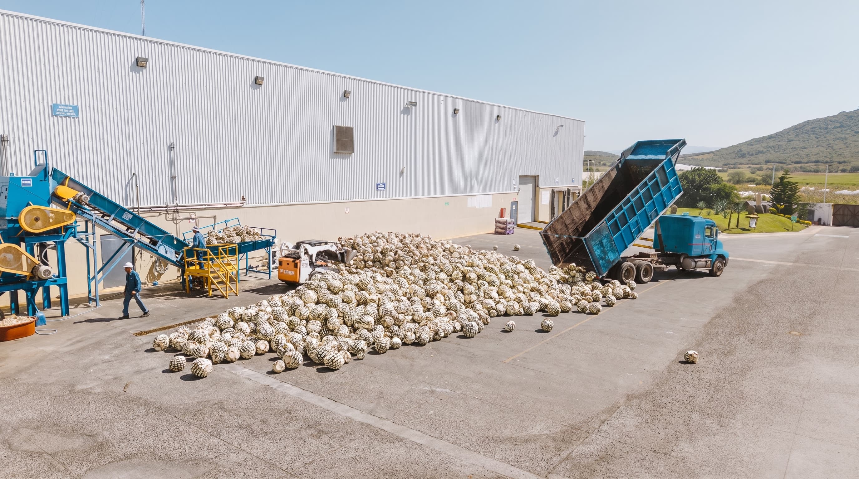 Producción y maquila